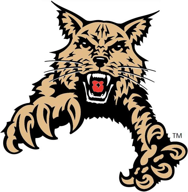 Abilene Christian Wildcats 1997-2012 Partial Logo t shirts iron on transfers